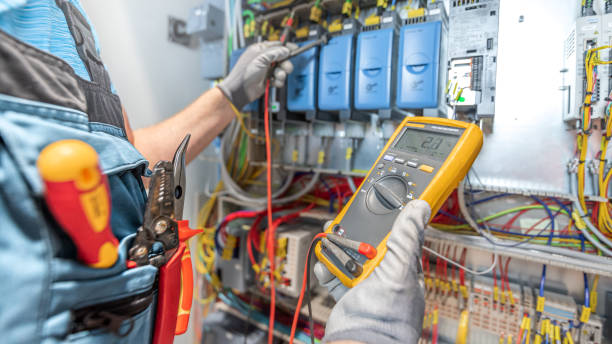 Best Electric Panel Repair  in Pelham, GA